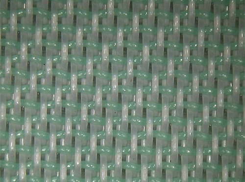 ˫
