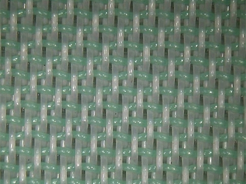 ˫